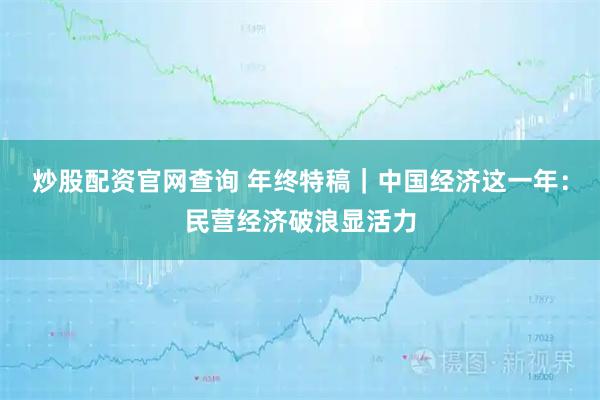 炒股配资官网查询 年终特稿｜中国经济这一年：民营经济破浪显活力