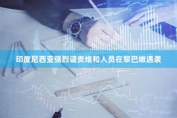 印度尼西亚强烈谴责维和人员在黎巴嫩遇袭