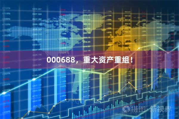 000688，重大资产重组！